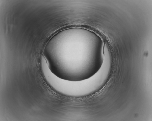 X0000097601265200803211651