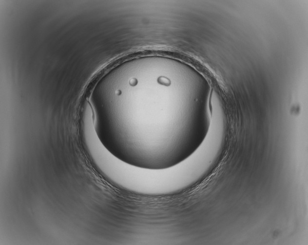 X0000097601266200803211651