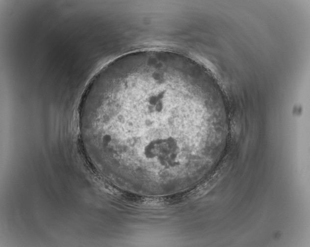 X0000097601267200803211651