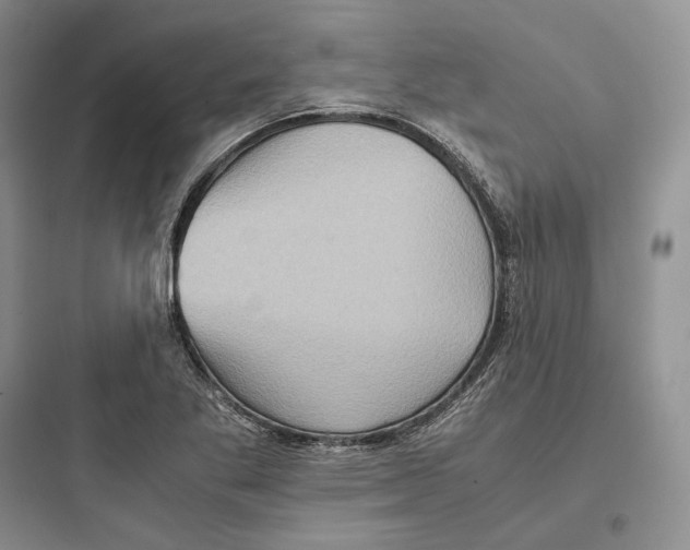 X0000097601269200803211651
