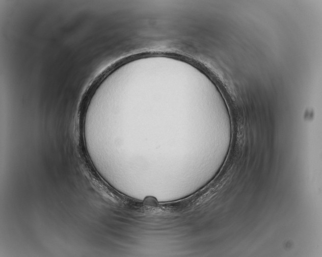 X0000097601270200803211651