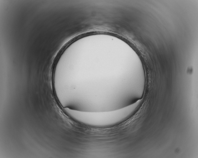 X0000097601272200803211651
