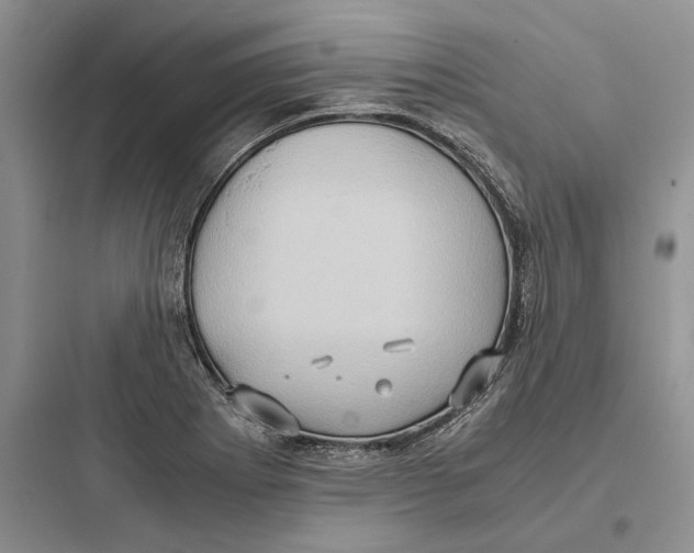 X0000097601273200803211651
