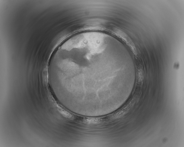 X0000097601274200803211651