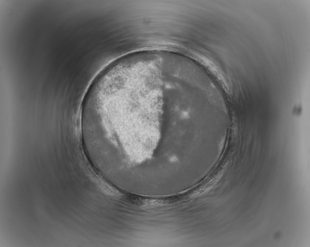 X0000097601275200803211651