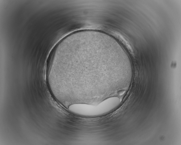 X0000097601276200803211651