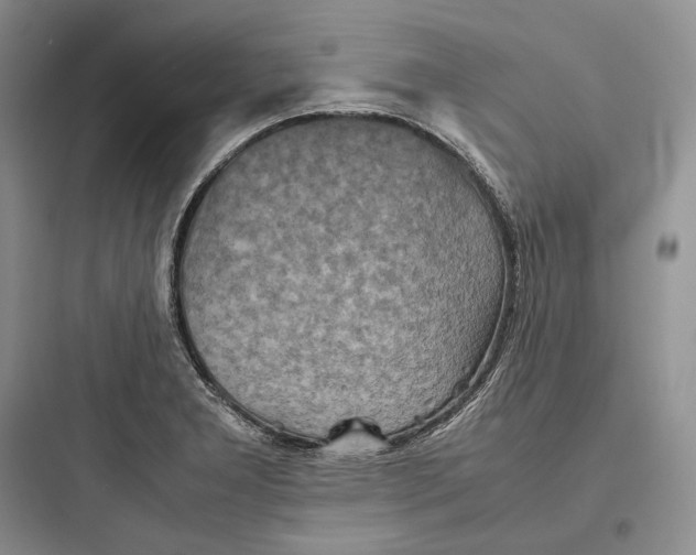 X0000097601277200803211651