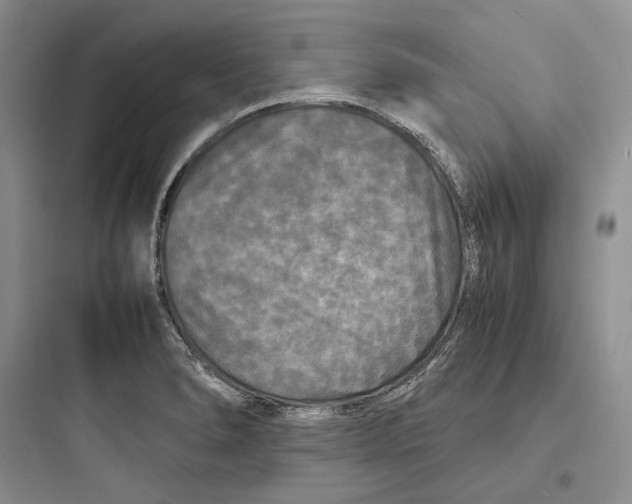 X0000097601278200803211651