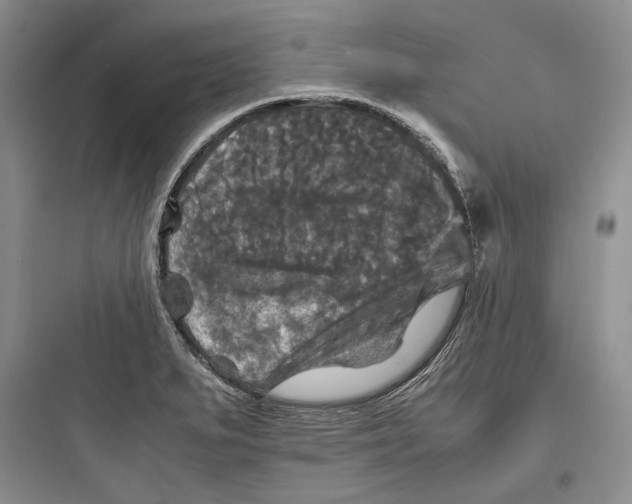 X0000097601279200803211651