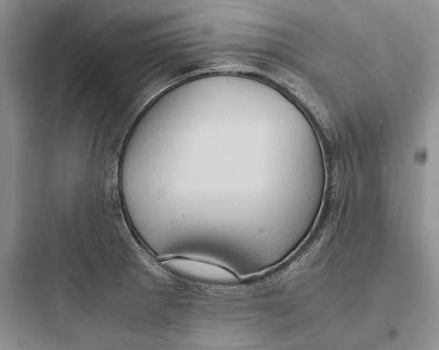 X0000097601281200803211651