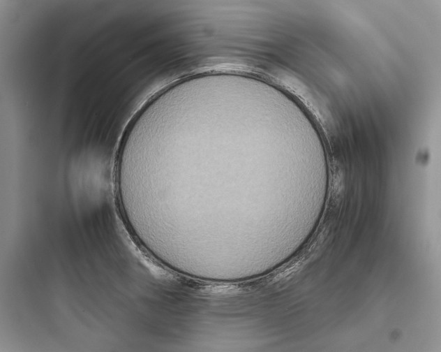 X0000097601282200803211651