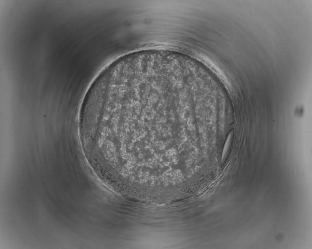X0000097601283200803211651