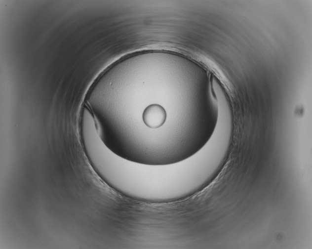 X0000097601284200803211651