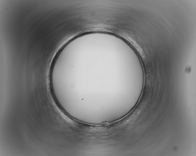 X0000097601285200803211651