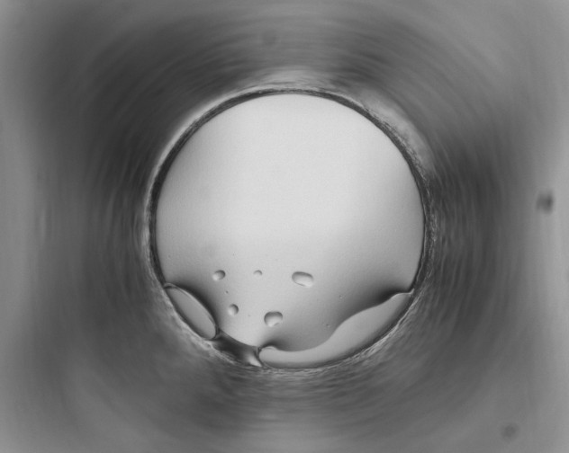 X0000097601288200803211651