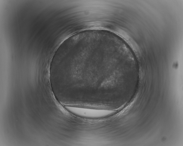 X0000097601289200803211651