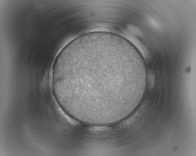 X0000097601290200803211651