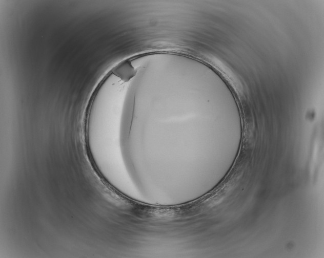 X0000097601291200803211651