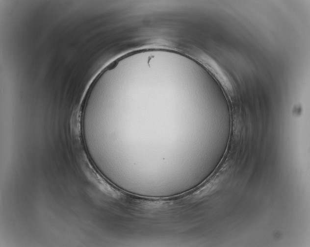 X0000097601292200803211651