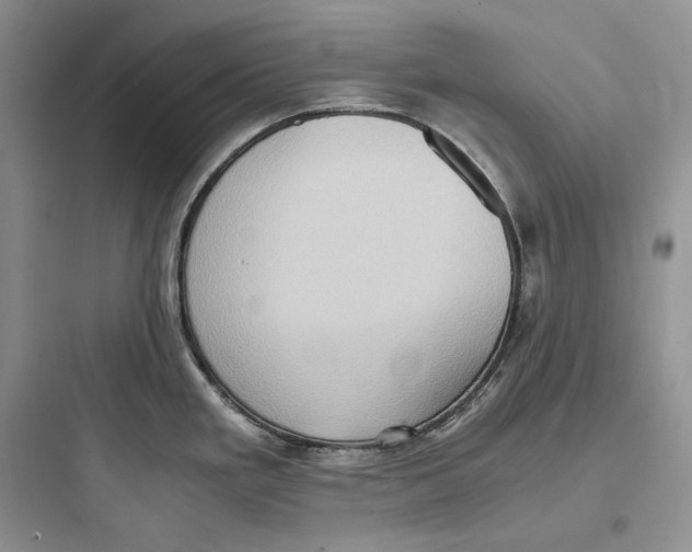 X0000097601293200803211651