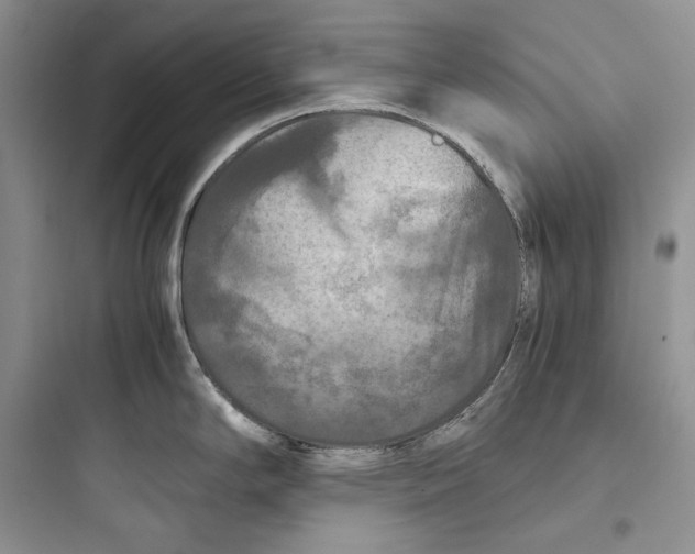 X0000097601294200803211651