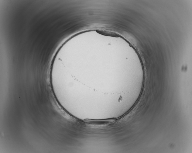 X0000097601296200803211651