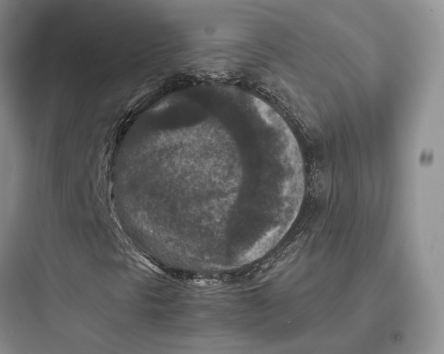 X0000097601297200803211650