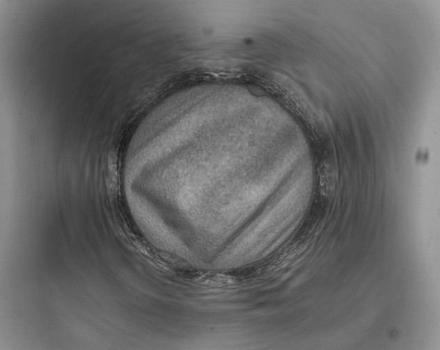 X0000097601298200803211650