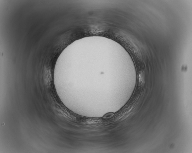 X0000097601299200803211650