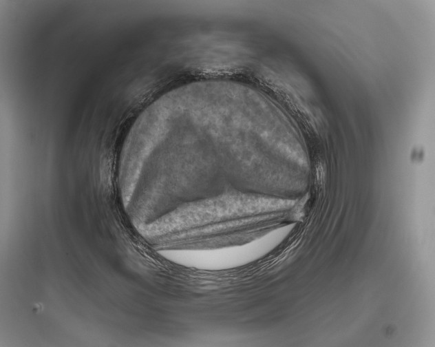 X0000097601300200803211650