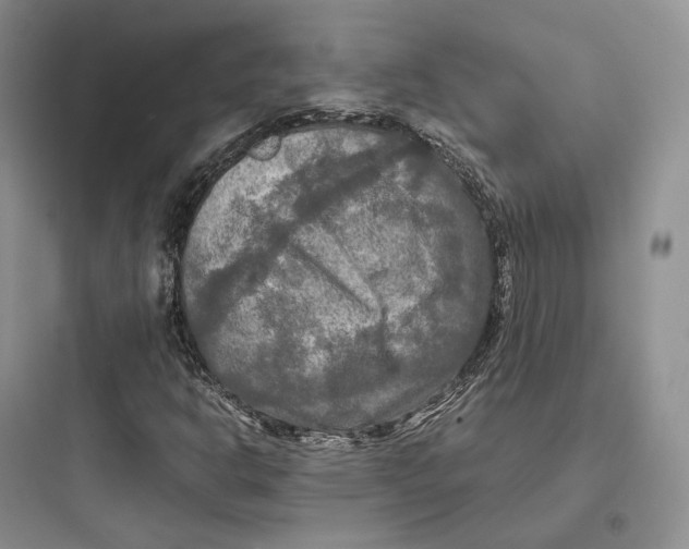 X0000097601302200803211650