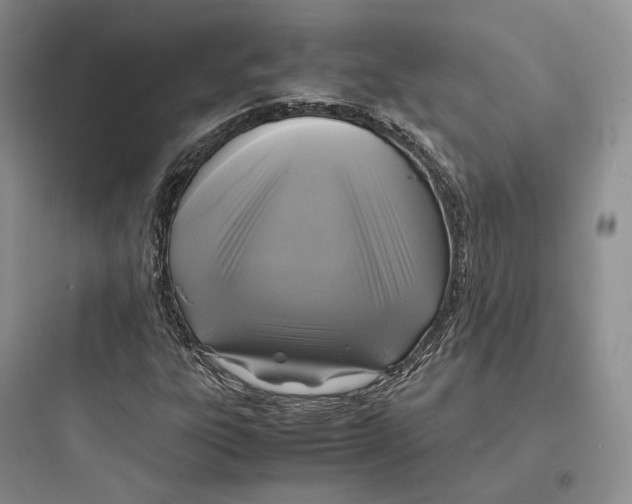 X0000097601303200803211650