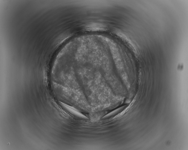 X0000097601305200803211650