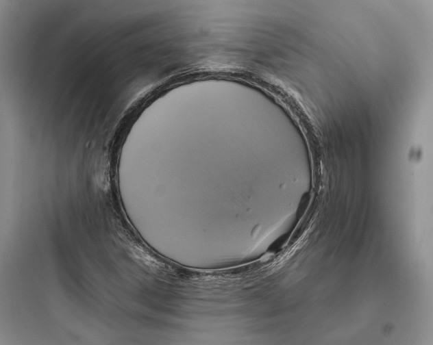X0000097601306200803211650