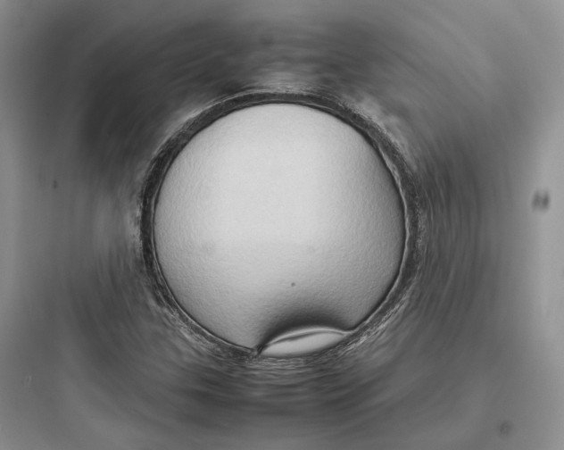 X0000097601307200803211650