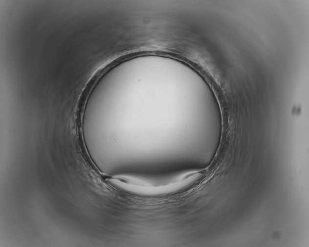 X0000097601308200803211650
