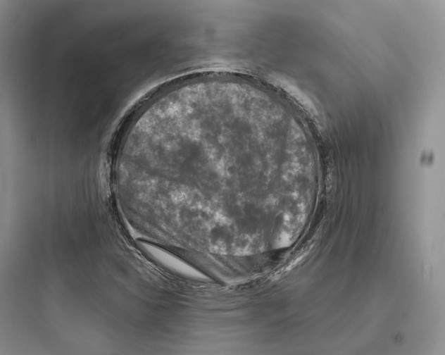 X0000097601310200803211650