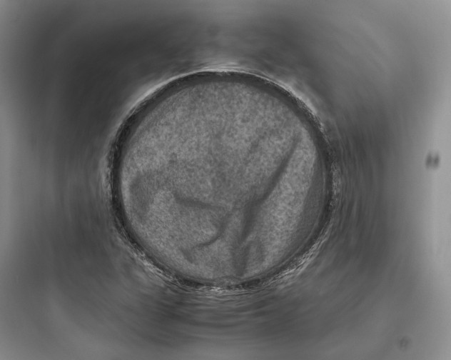 X0000097601311200803211650