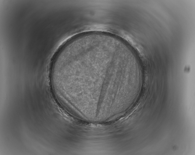 X0000097601312200803211650