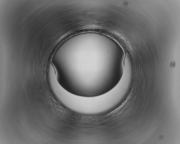 X0000097601313200803211650