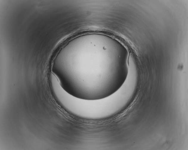 X0000097601314200803211650