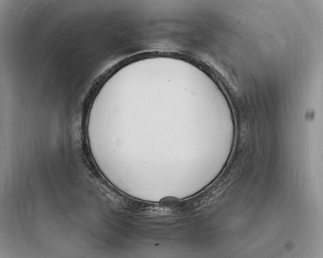 X0000097601315200803211650