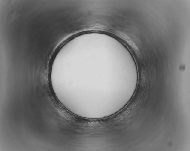 X0000097601316200803211650