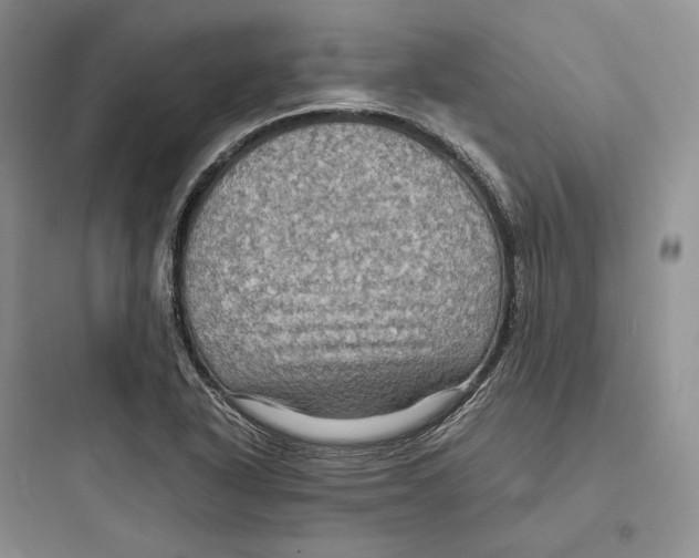X0000097601318200803211650