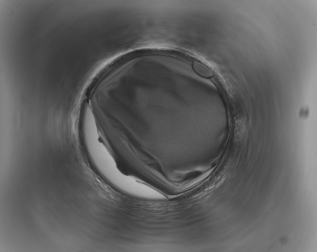 X0000097601319200803211650
