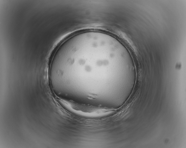 X0000097601320200803211650