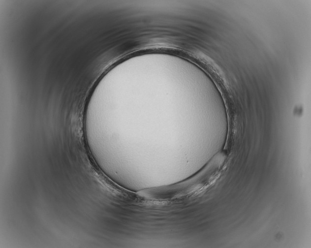 X0000097601321200803211650