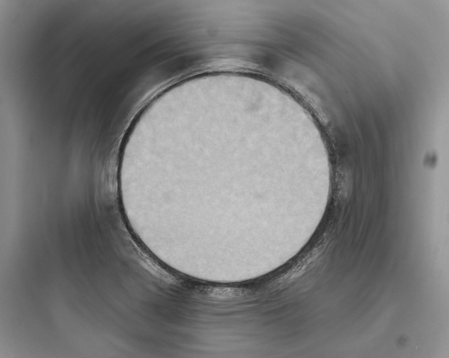 X0000097601322200803211650