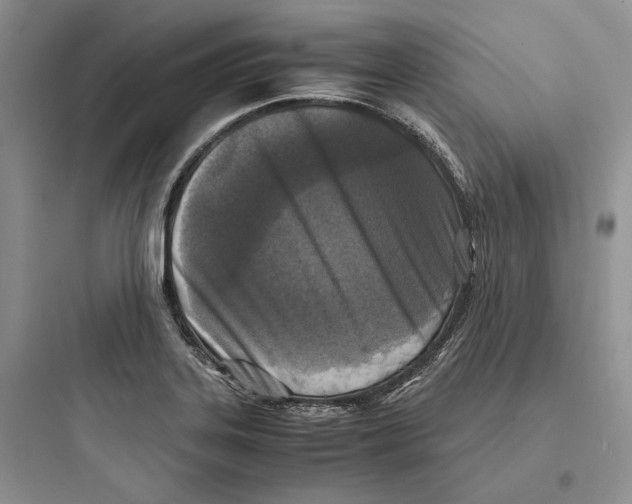 X0000097601323200803211650