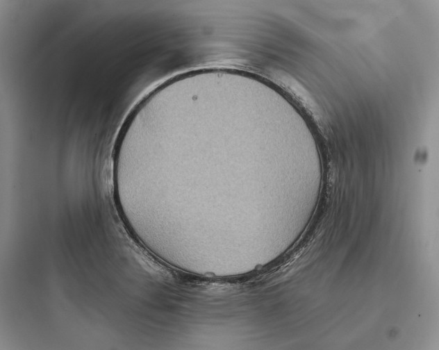 X0000097601324200803211650